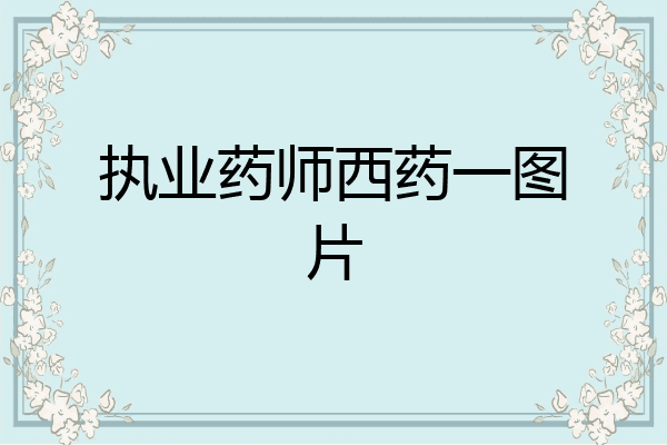 执业药师西药一图片