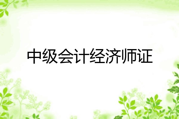 中级会计经济师证