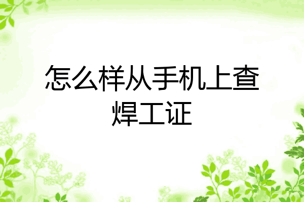怎么样从手机上查焊工证