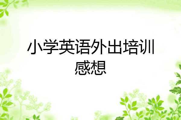 小学英语外出培训感想