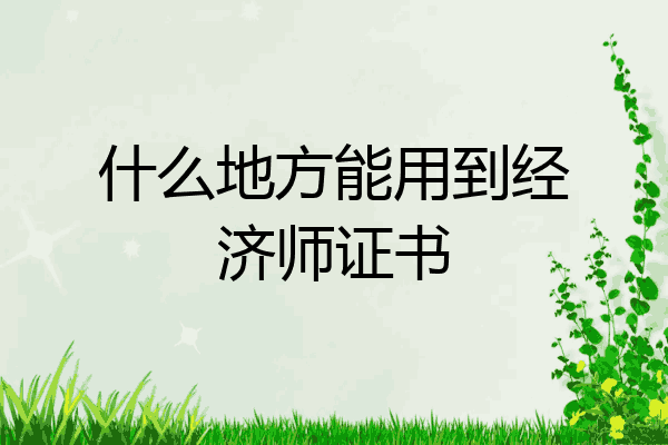 什么地方能用到经济师证书