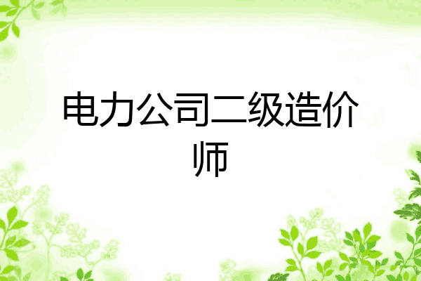 电力公司二级造价师