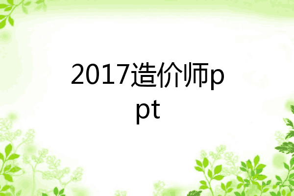 2017造价师ppt
