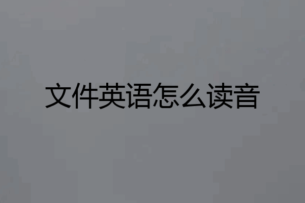 文件英语怎么读音
