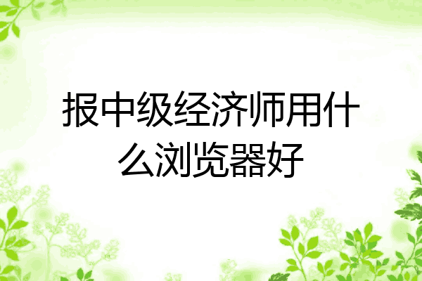 报中级经济师用什么浏览器好
