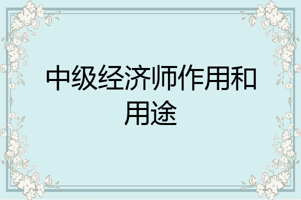 中级经济师作用和用途