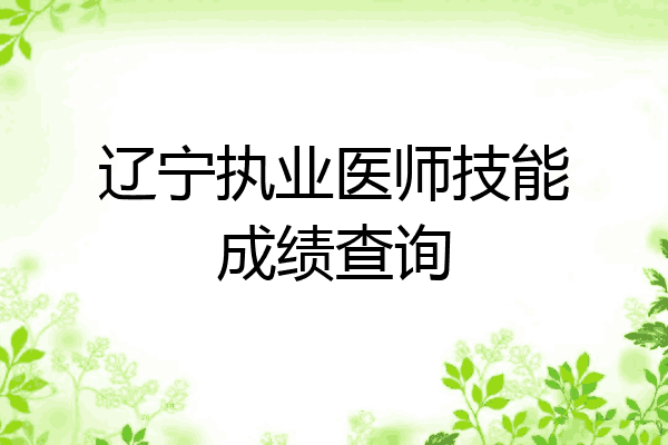 辽宁执业医师技能成绩查询