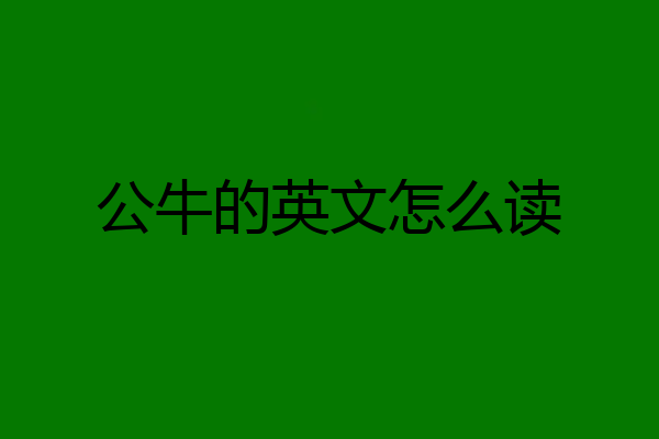 公牛的英文怎么读
