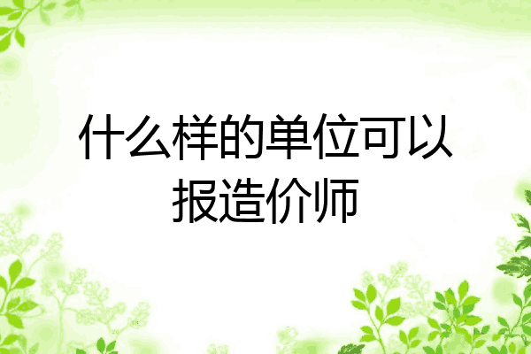 什么样的单位可以报造价师