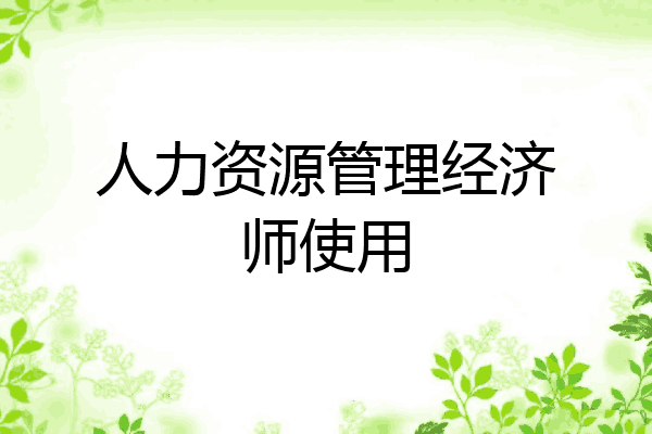 人力资源管理经济师使用