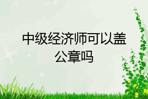 中级经济师可以盖公章吗