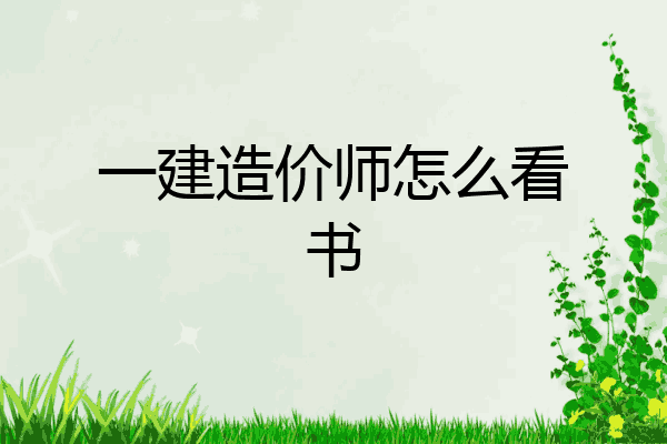 一建造价师怎么看书