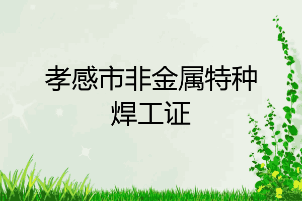 孝感市非金属特种焊工证
