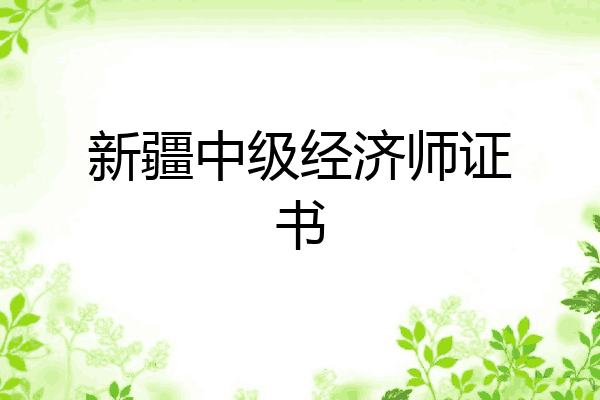 新疆中级经济师证书