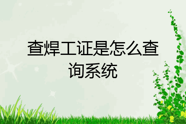 查焊工证是怎么查询系统