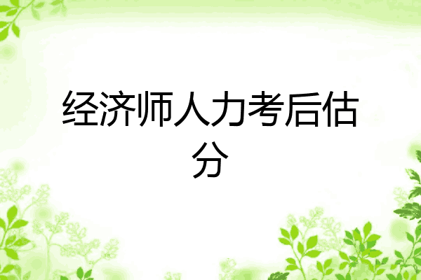 经济师人力考后估分