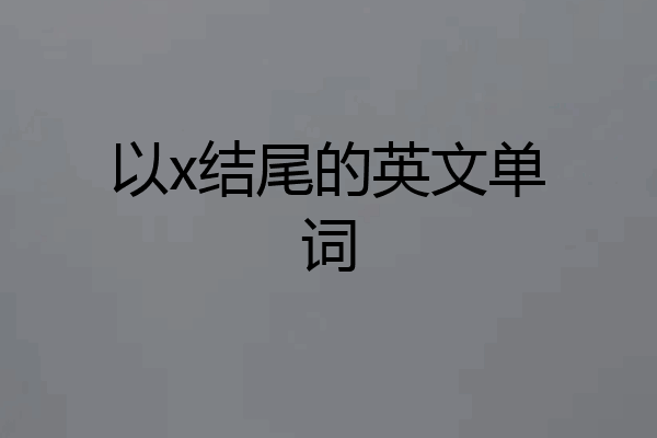 以x结尾的英文单词