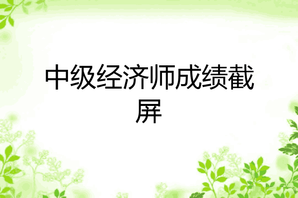 中级经济师成绩截屏