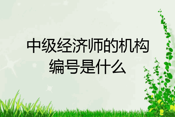 中级经济师的机构编号是什么