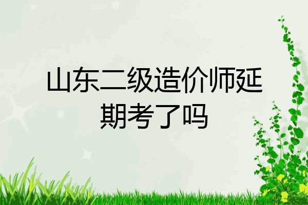 山东二级造价师延期考了吗