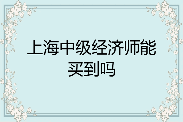上海中级经济师能买到吗