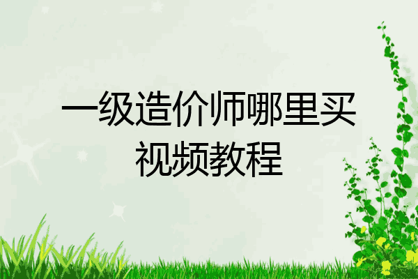 一级造价师哪里买视频教程