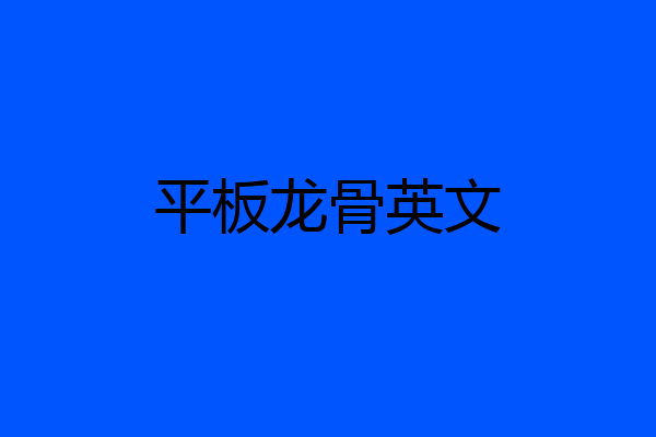 平板龙骨英文
