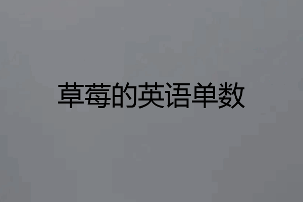 草莓的英语单数