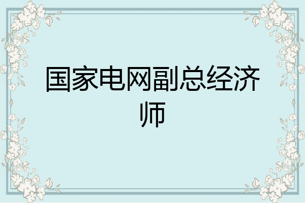 国家电网副总经济师