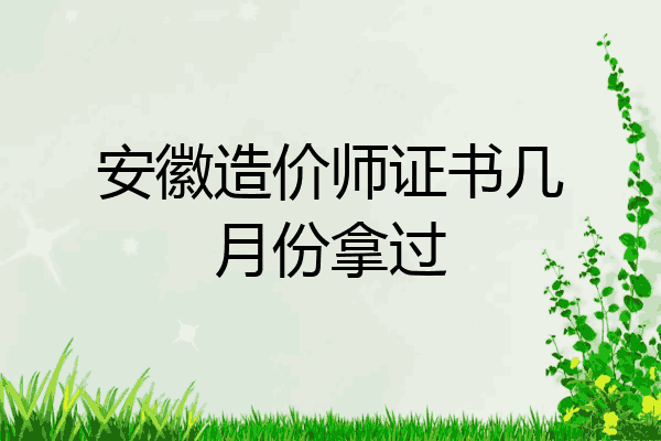 安徽造价师证书几月份拿过