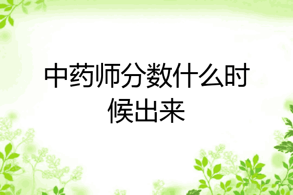 中药师分数什么时候出来