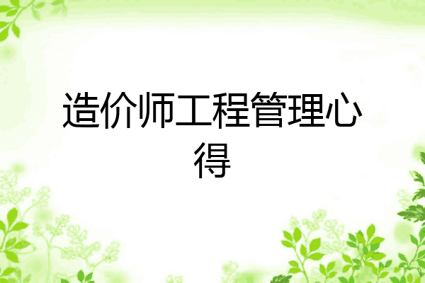 造价师工程管理心得