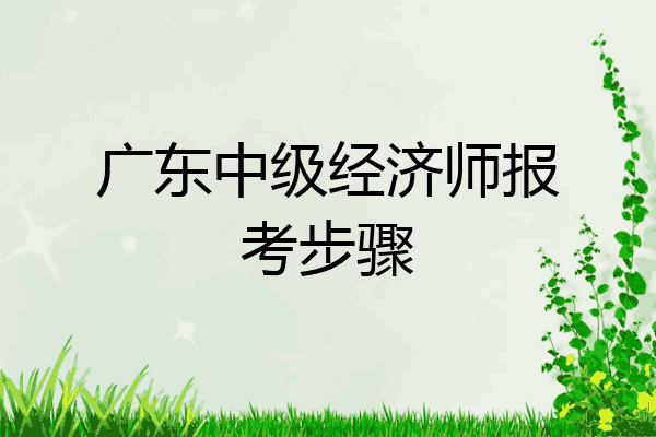 广东中级经济师报考步骤