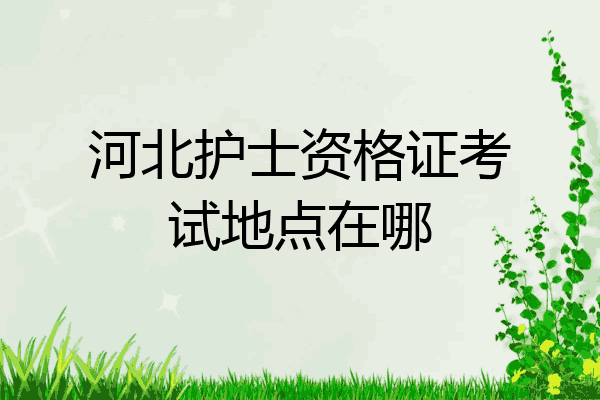 河北护士资格证考试地点在哪