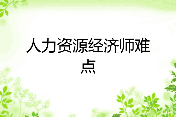 人力资源经济师难点