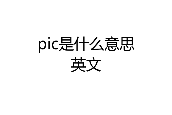 pic是什么意思英文