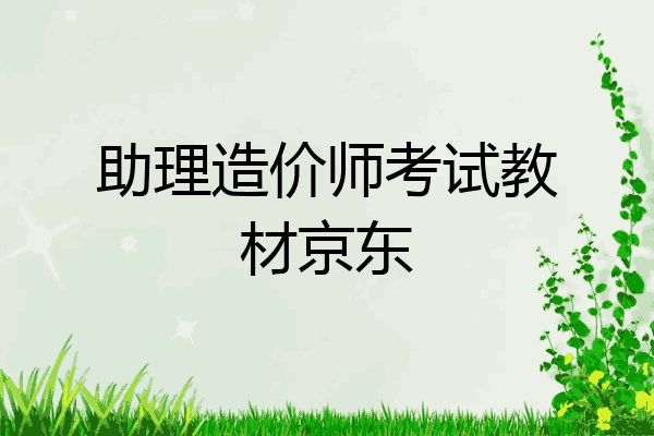 助理造价师考试教材京东