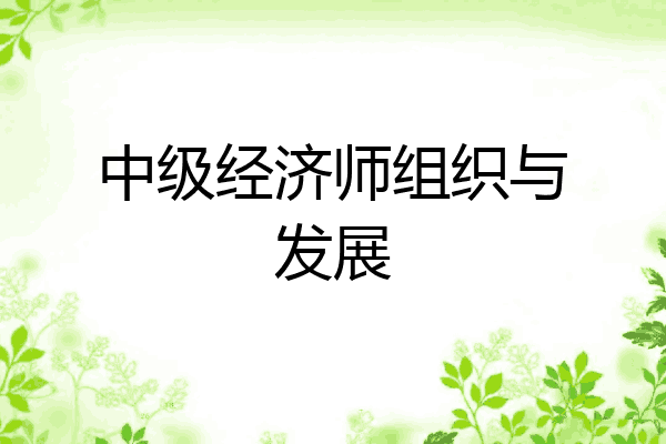 中级经济师组织与发展