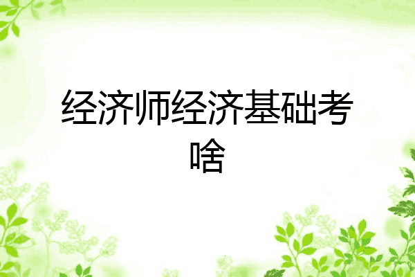 经济师经济基础考啥