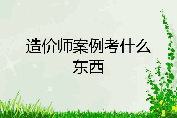 造价师案例考什么东西