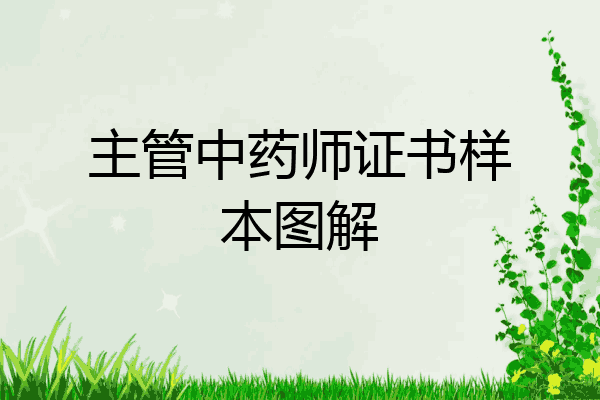 主管中药师证书样本图解