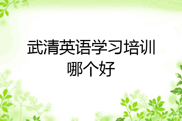 武清英语学习培训哪个好