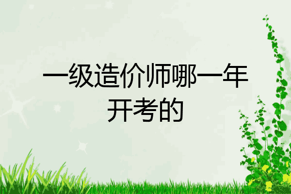 一级造价师哪一年开考的