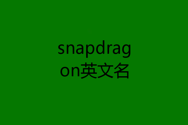 snapdragon英文名