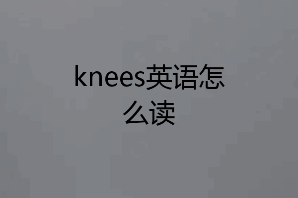 knees英语怎么读