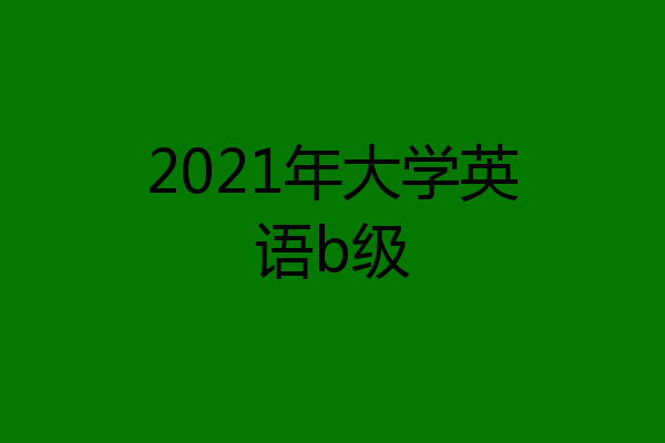 2021年大学英语b级
