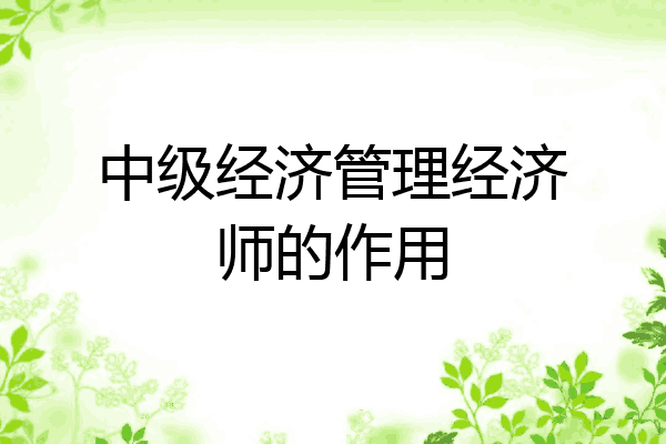 中级经济管理经济师的作用