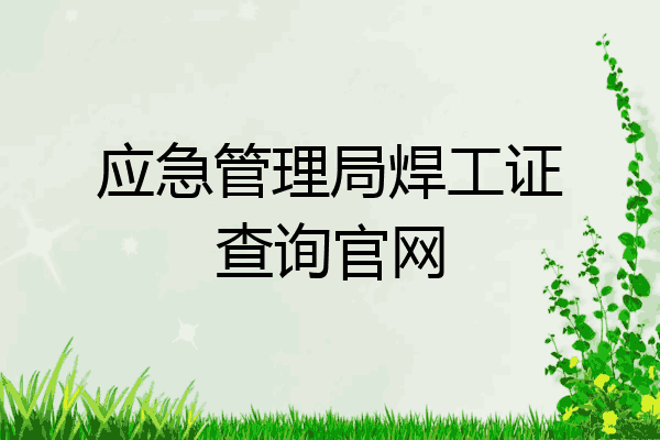 应急管理局焊工证查询官网