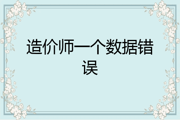 造价师一个数据错误