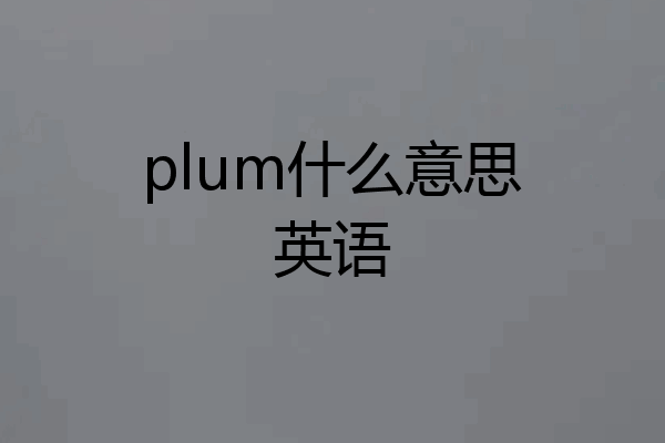 plum什么意思英语